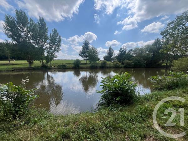 Terrain à vendre  14264 m2 CHASSIGNOLLES - 36