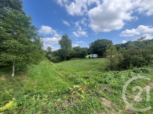 Terrain à vendre  14264 m2 CHASSIGNOLLES - 36