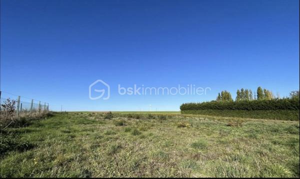 Terrain agricole de 2 799 m²