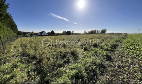 Terrain agricole de 2 799 m²