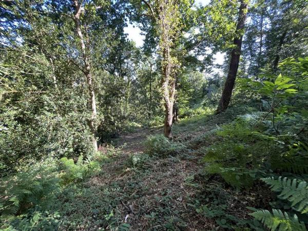 Maison à vendre |  Douarnenez |  6 pièces | 226 m²