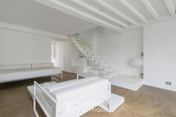Duplex en dernier étage avec terrasse repensé par architecte
