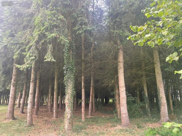 Maison à vendre à Aron en Mayenne (53440), ref : 046/815