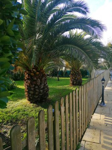 MAISON CHARENTAISE AVEC STUDIO PISCINE DEPENDANCES 247 M²