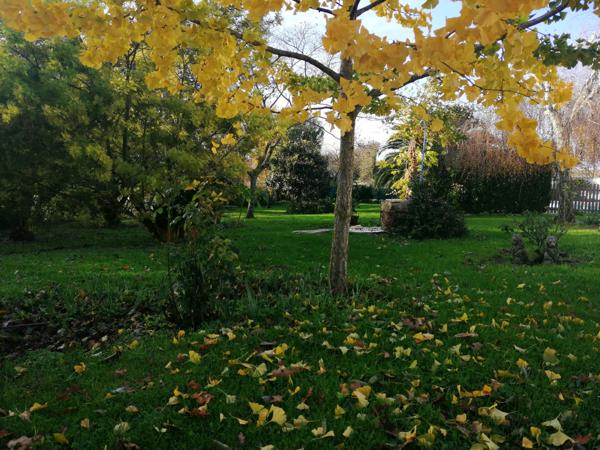 MAISON CHARENTAISE AVEC STUDIO PISCINE DEPENDANCES 247 M²