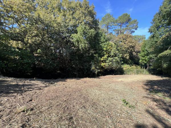 Terrain constructible à ANGLET (64600)