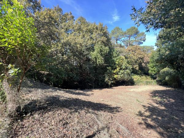 Terrain constructible à ANGLET (64600)