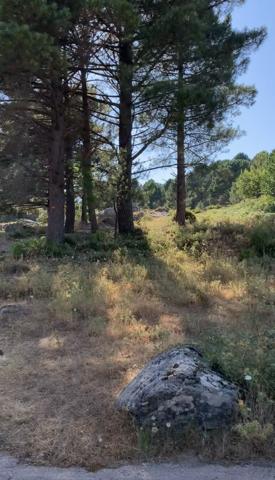 Porto-Vecchio (20137) Terrain à bâtir à Cartalavone, commune de Porto-Vecchio