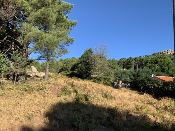 Porto-Vecchio (20137) Terrain à bâtir à Cartalavone, commune de Porto-Vecchio