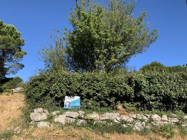 Porto-Vecchio (20137) Terrain à bâtir à Cartalavone, commune de Porto-Vecchio