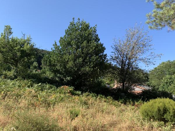 Porto-Vecchio (20137) Terrain à bâtir à Cartalavone, commune de Porto-Vecchio