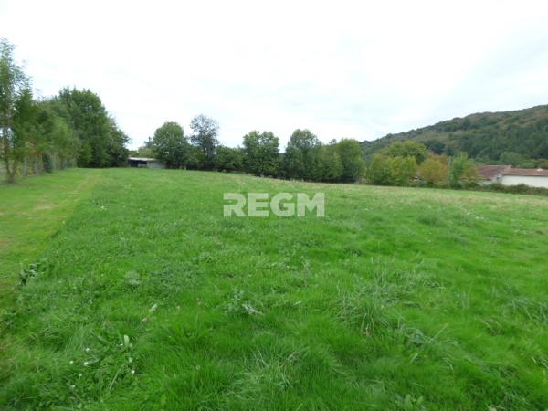 Lannemezan (65300) TERRAIN 6200M² DIVISIBLE