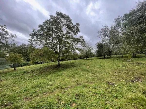 Vente Terrain 4135 m2 à Mont-Lès-Neufchâteau