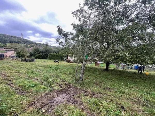 Vente Terrain 4135 m2 à Mont-Lès-Neufchâteau