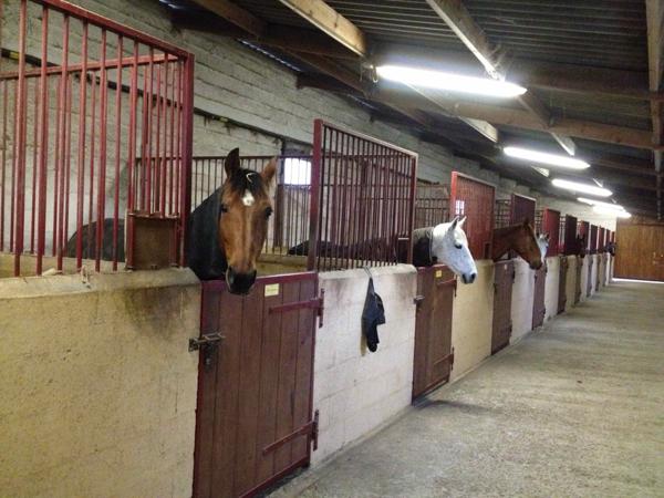 Gif-sur-Yvette (91190) PROPRIÉTÉ ÉQUESTRE EXCEPTIONNELLE À 25 km de Paris !