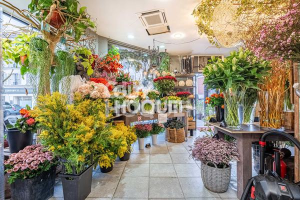 Murs de boutique Asnières Sur Seine