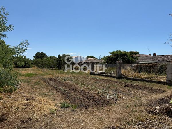 Terrain à bâtir avec grange en pierre à vendre à Dolus d'Oléron - Référence 3828