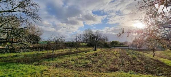 FRESSINES, terrain constructible de 808 m²