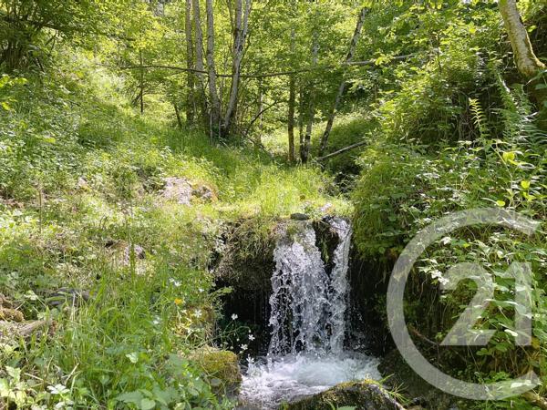 Maison à vendre  2 pièces - 40 m2 LE PORT - 09