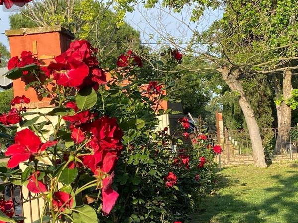 Maison à vendre à Vergèze dans le Gard (30310), ref : 34019-410