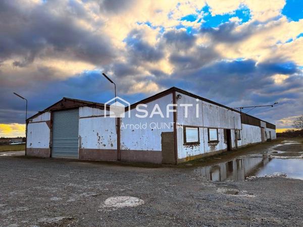 Hangar et terrain de 2,38 hectares