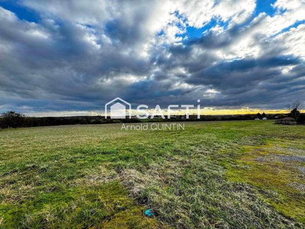 Hangar et terrain de 2,38 hectares