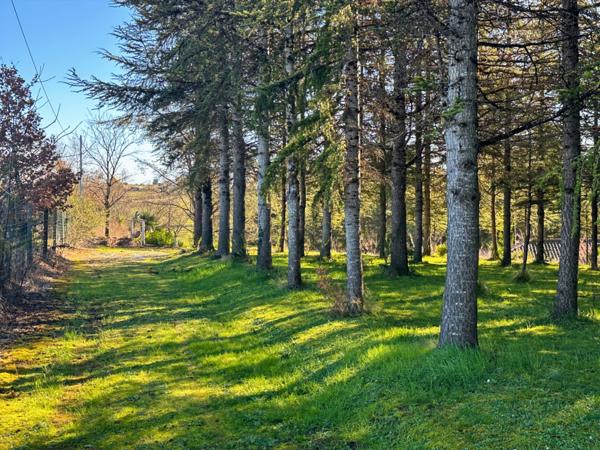 Dpt Gers (32) - à vendre proche de AUCH bâtiment de 240 m2 et terrain constructible de 3000 m2