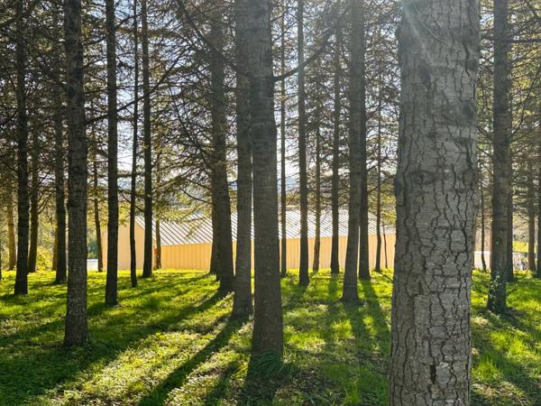 Dpt Gers (32) - à vendre proche de AUCH bâtiment de 240 m2 et terrain constructible de 3000 m2