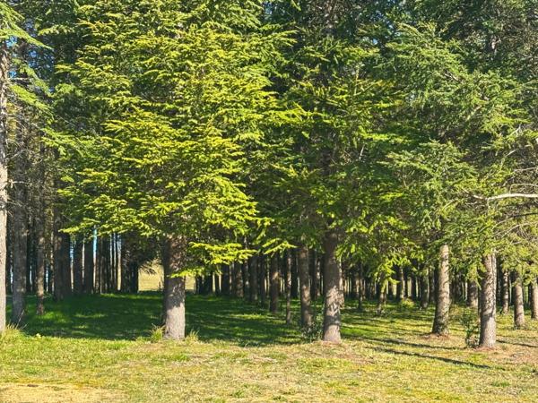 Dpt Gers (32) - à vendre proche de AUCH bâtiment de 240 m2 et terrain constructible de 3000 m2