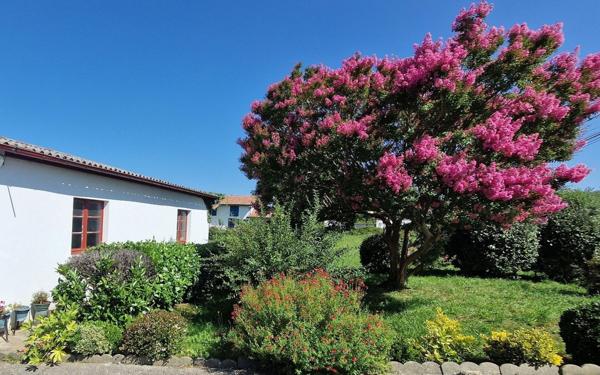 Maison à vendre    8 pièces •  Arcangues