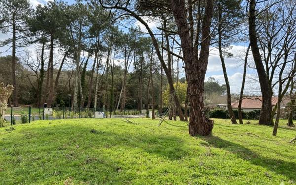 Terrain à vendre    Labenne