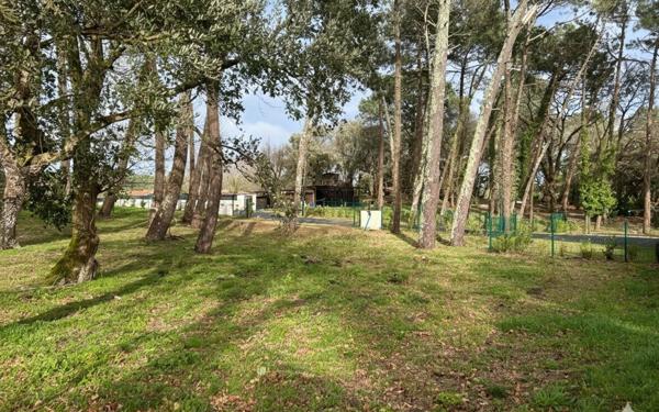 Terrain à vendre    Labenne