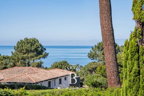 Pyla-sur-Mer, Terrain  1 040 m² à vendre