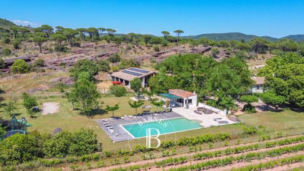 Vidauban, Propriété viticole 8 Chambres -  450 m² à vendre