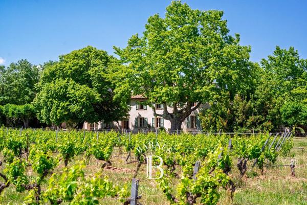Vidauban, Propriété viticole 8 Chambres -  450 m² à vendre