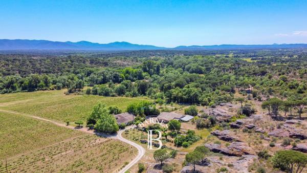 Vidauban, Propriété viticole 8 Chambres -  450 m² à vendre