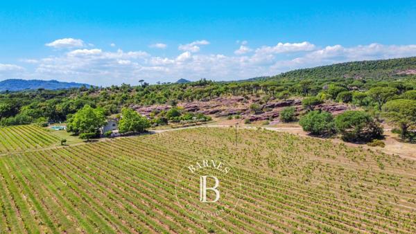 Vidauban, Propriété viticole 8 Chambres -  450 m² à vendre