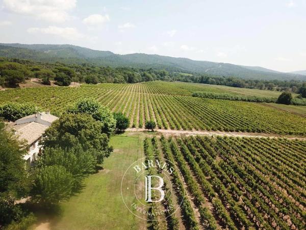 Vidauban, Propriété viticole 8 Chambres -  450 m² à vendre