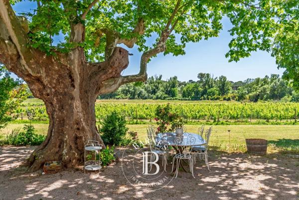 Vidauban, Propriété viticole 8 Chambres -  450 m² à vendre