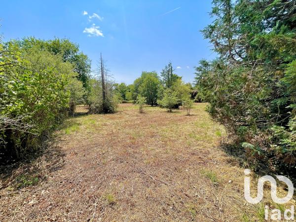 Terrain à vendre 2 242 m² La Trimouille