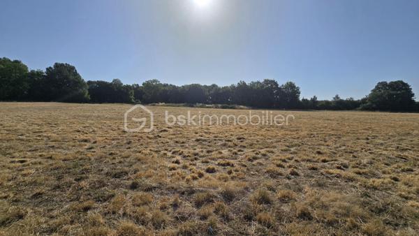 Venez vite découvrir ce magnifique bien située, dans un lieu dit, proche de BRUX 86, environnement calme, proche de la national 10 et à cinq minutes de couhé et commerces

Ce magnifique bien immobilier est composé:

REZ-DE-CHAUSSÉE :
- Entrée spacieuse, avec de nombreux rangement et dressing 
- Salon/séjour/ salle à manger de 57 m²
- Cuisine de 12 m², aménagée, fonctionnelle, ouverte  sur le salon, et équipée, avec îlot central, rangement, plaque, hotte, frigo américain, cave à vin.
- Deux chambres de 10 m² chacune avec placard.
- Salle d'eau
-Un wc séparé
- Un bureau
- Une suite parentale, grand dressing, salle d'eau et toilette, accès à la terrasse.
- Un grand garage avec buanderie, cellier et espace de rangement dans les combles au dessus du garage.

EXTÉRIEUR:
- Ce superbe bien immobilier est implanté sur une parcelle de terrain de 19056 m² environ, arborés et clôturé en partie.
- Une parcelle peut être exploitée en fermage ou à votre convenance.
- Terrasse exposée sud

PARTIES TECHNIQUES:
- Chauffage: pompe à chaleur, pas de clim
- Passage vide sanitaire
- Construite en 2019
- Fosse septique conforme
Une visite?