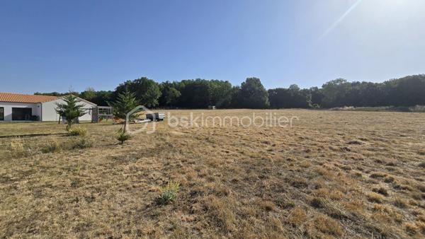 Venez vite découvrir ce magnifique bien située, dans un lieu dit, proche de BRUX 86, environnement calme, proche de la national 10 et à cinq minutes de couhé et commerces

Ce magnifique bien immobilier est composé:

REZ-DE-CHAUSSÉE :
- Entrée spacieuse, avec de nombreux rangement et dressing 
- Salon/séjour/ salle à manger de 57 m²
- Cuisine de 12 m², aménagée, fonctionnelle, ouverte  sur le salon, et équipée, avec îlot central, rangement, plaque, hotte, frigo américain, cave à vin.
- Deux chambres de 10 m² chacune avec placard.
- Salle d'eau
-Un wc séparé
- Un bureau
- Une suite parentale, grand dressing, salle d'eau et toilette, accès à la terrasse.
- Un grand garage avec buanderie, cellier et espace de rangement dans les combles au dessus du garage.

EXTÉRIEUR:
- Ce superbe bien immobilier est implanté sur une parcelle de terrain de 19056 m² environ, arborés et clôturé en partie.
- Une parcelle peut être exploitée en fermage ou à votre convenance.
- Terrasse exposée sud

PARTIES TECHNIQUES:
- Chauffage: pompe à chaleur, pas de clim
- Passage vide sanitaire
- Construite en 2019
- Fosse septique conforme
Une visite?