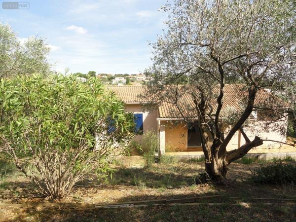 Maison individuelle à vendre à Saint-Gilles dans le Gard (30800), ref : 11411/425