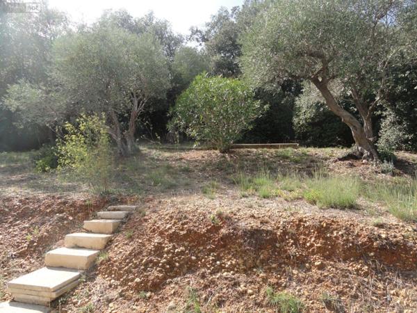 Maison individuelle à vendre à Saint-Gilles dans le Gard (30800), ref : 11411/425