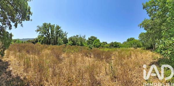 Terrain à vendre 2 570 m² Figari