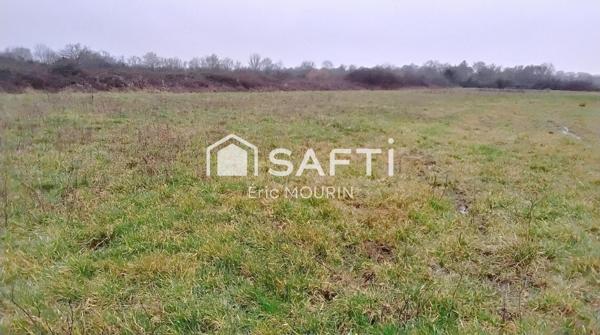 Jolie étang avec un grand terrain.