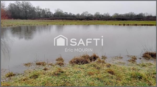 Jolie étang avec un grand terrain.
