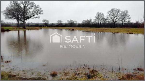 Jolie étang avec un grand terrain.