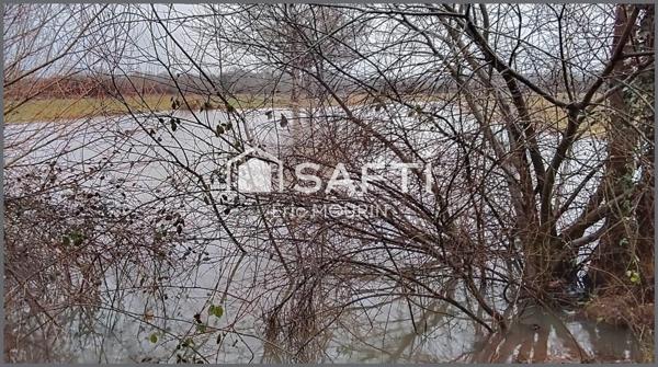 Jolie étang avec un grand terrain.