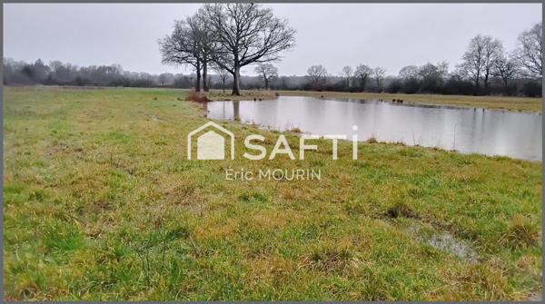 Jolie étang avec un grand terrain.